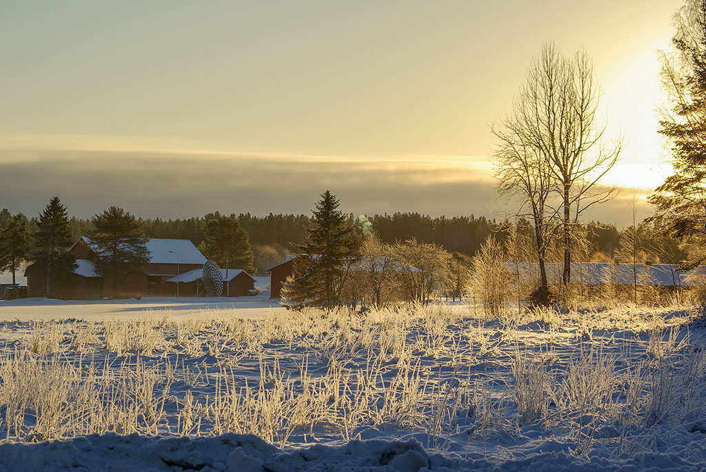 Östra Falmark