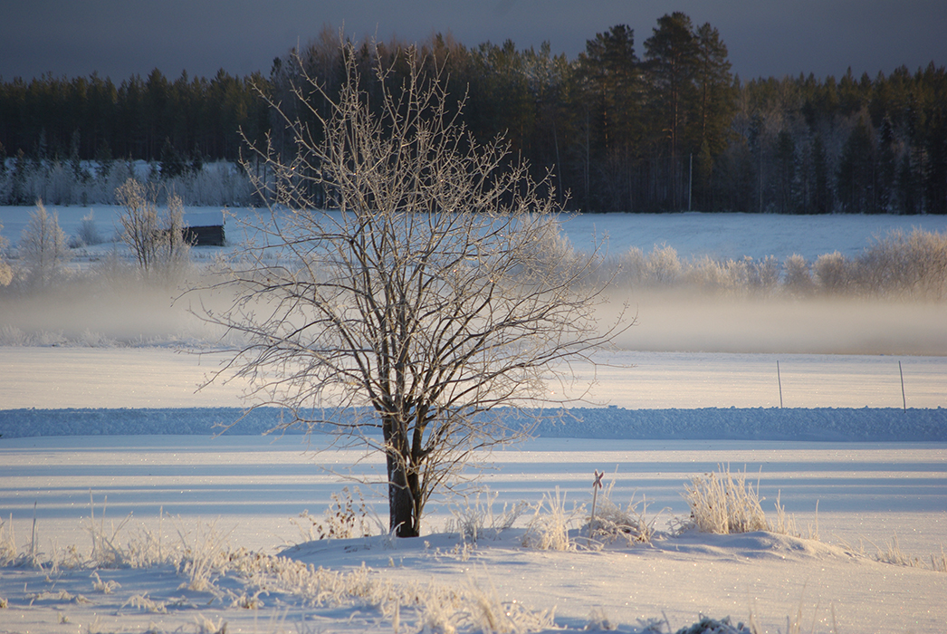 Vintervy