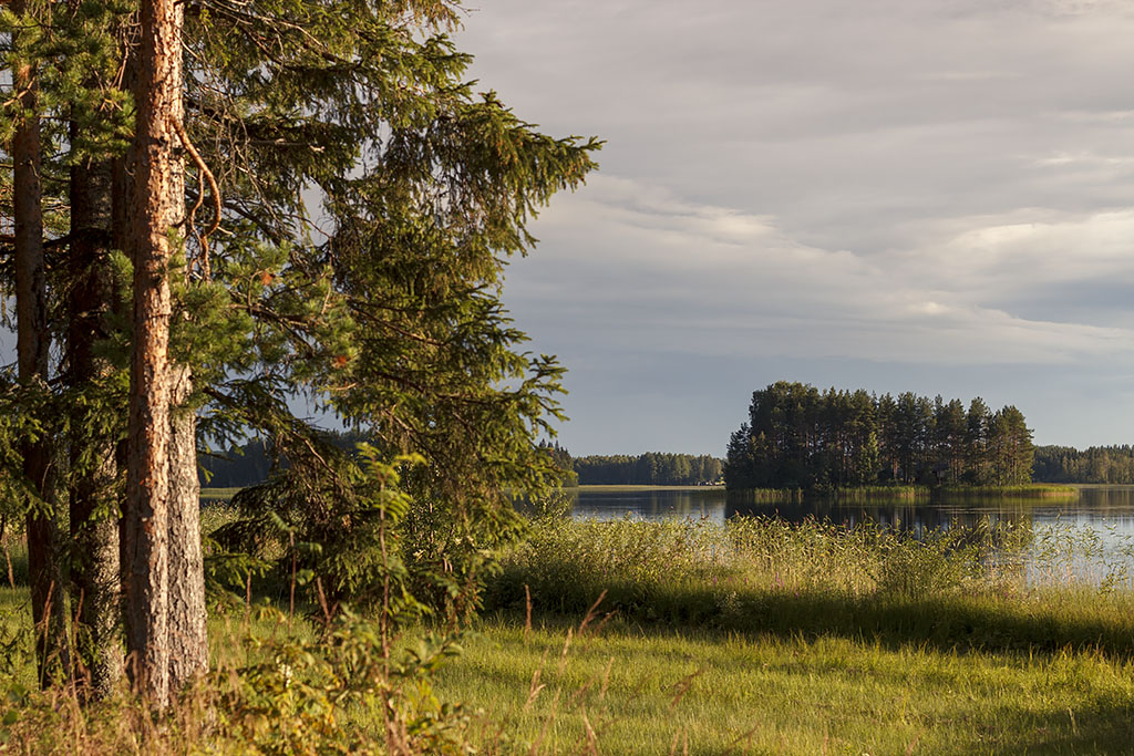 Östra Falmark