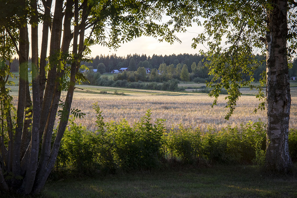 Östra Falmark