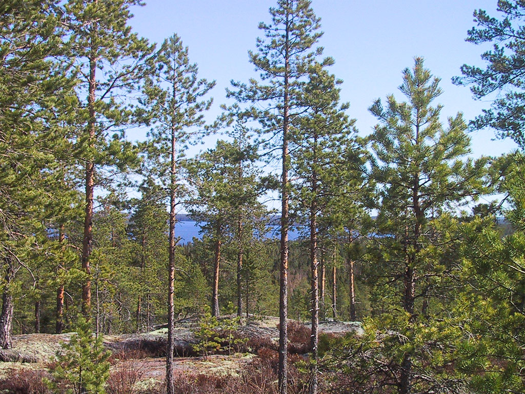 Stöverberget