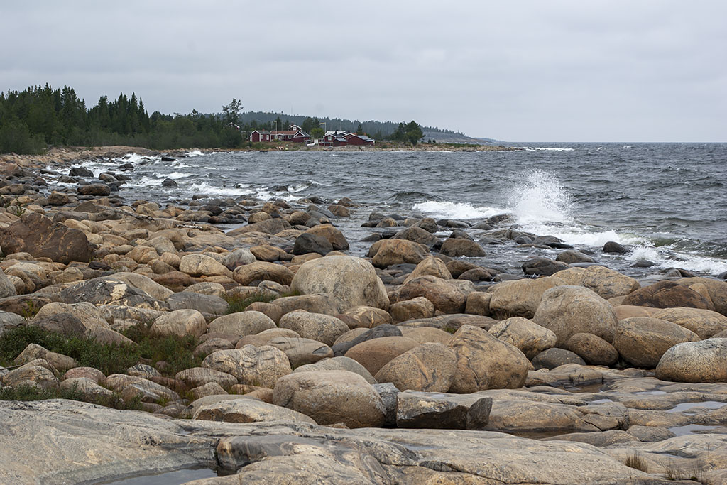 Bjuröklubb