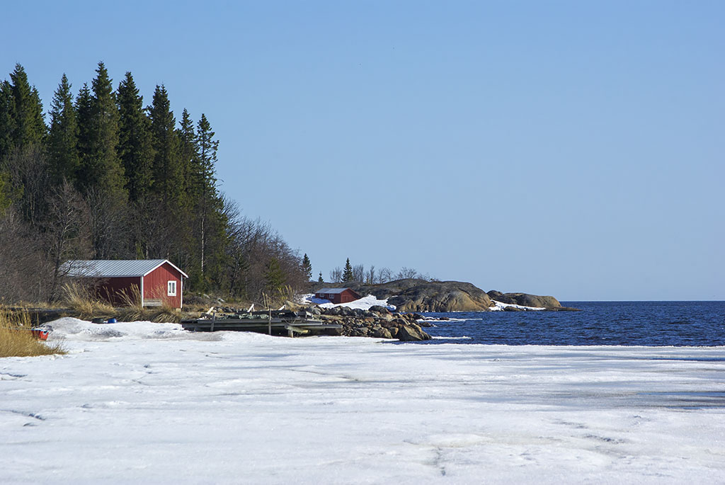 Kallviken