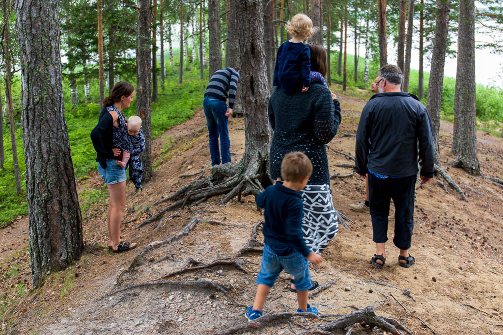 Ön i Burträsk
