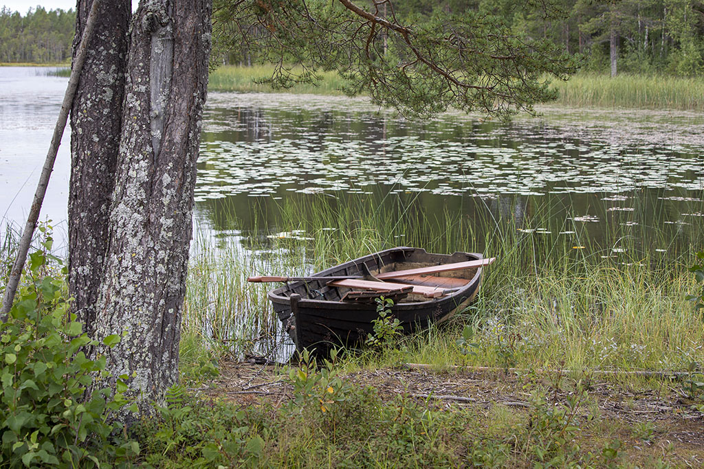Kalvträsk