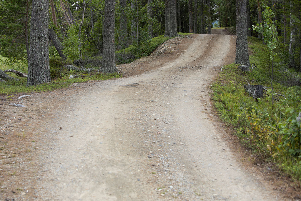 Kalvträsk
