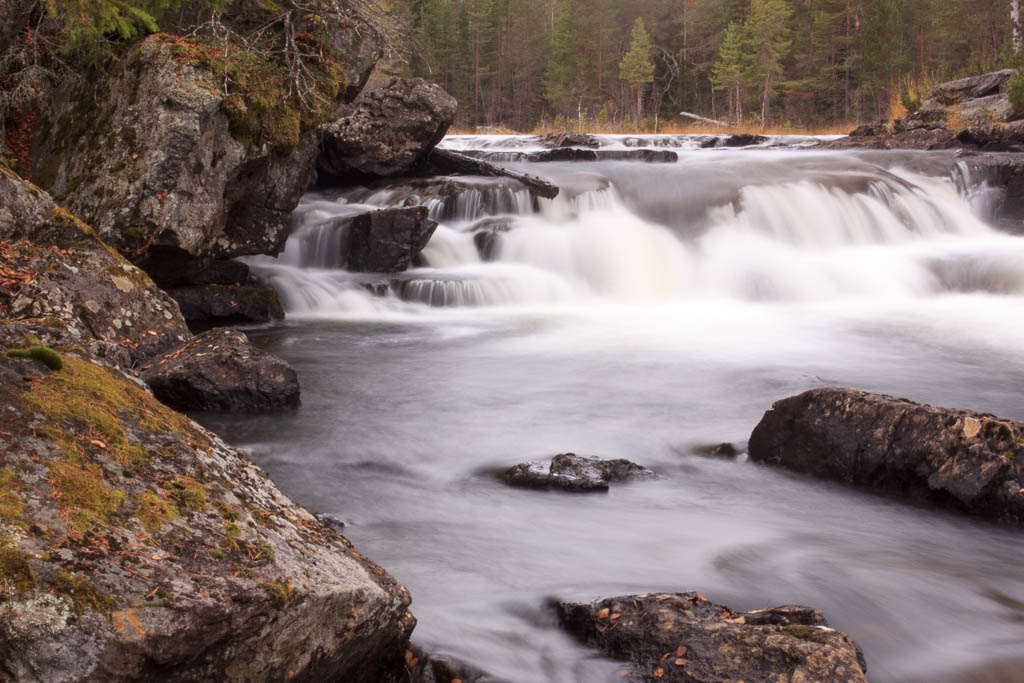 Mårdseleforsen