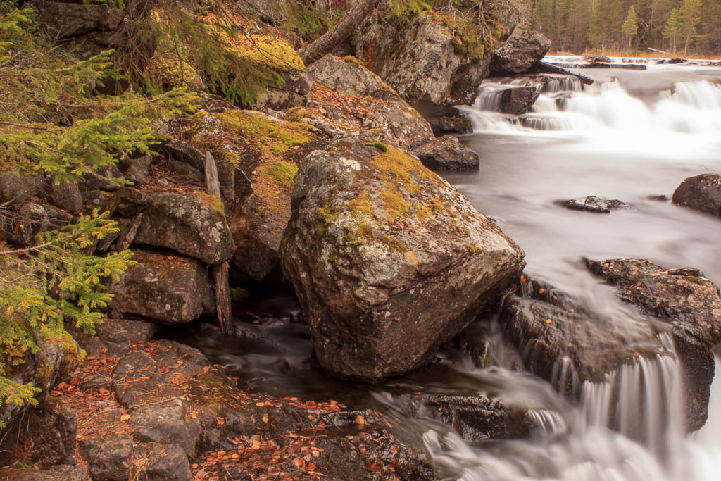 Mårdseleforsen