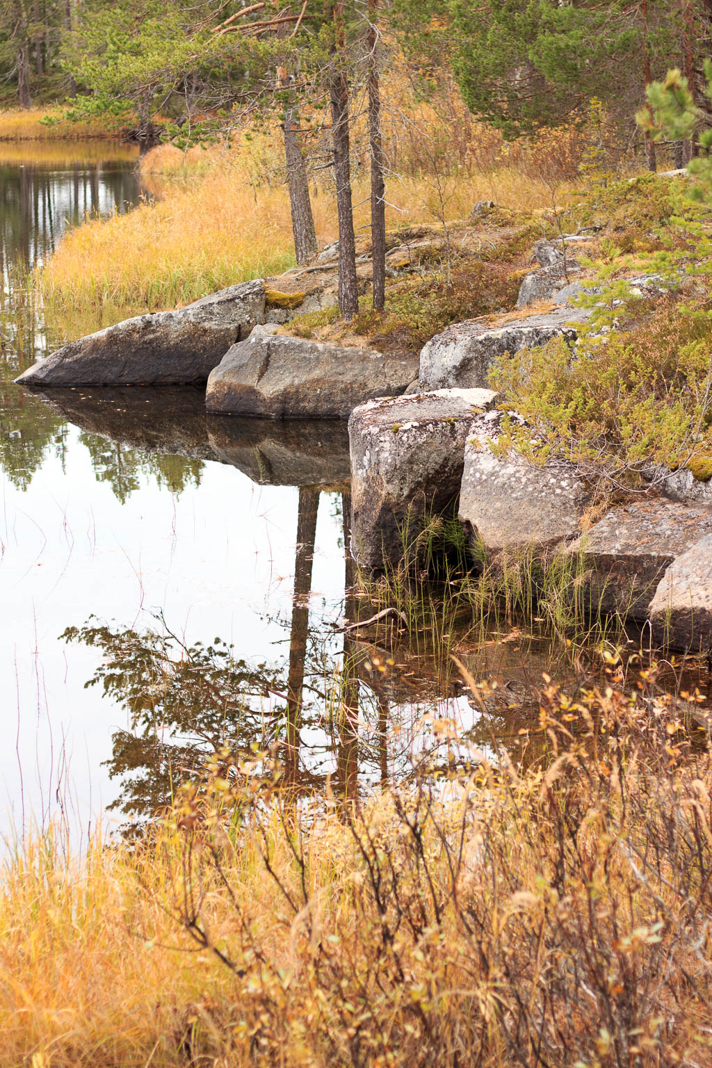 Mårdseleforsen