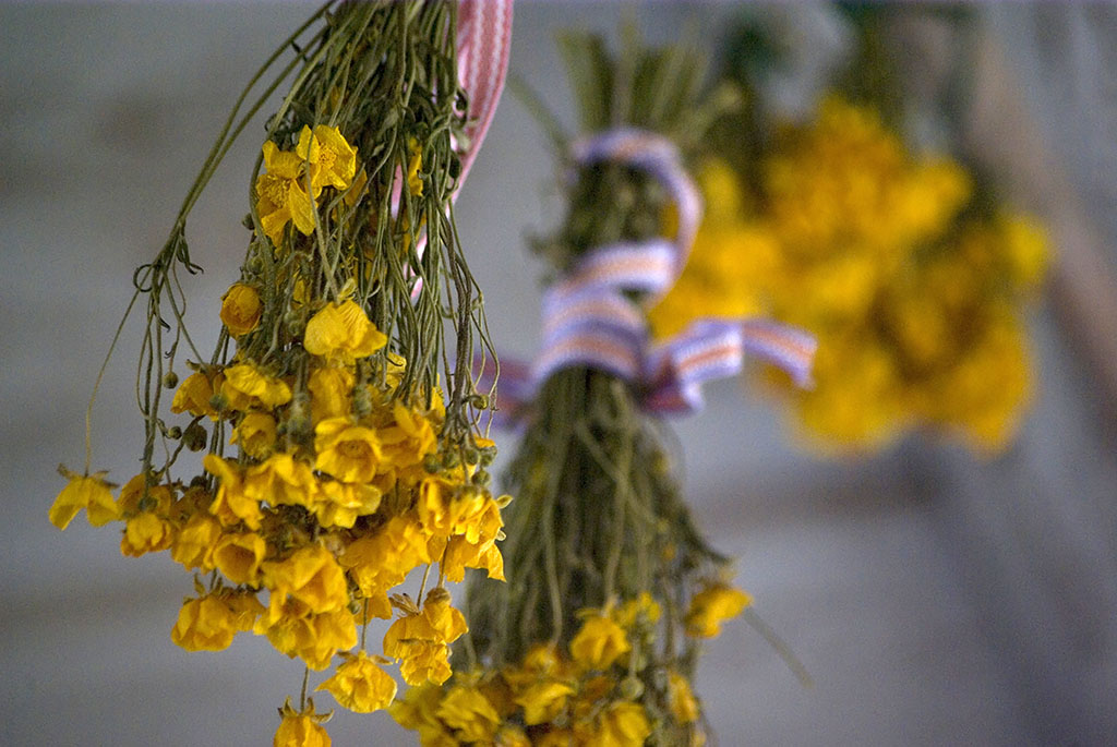 Smörblommor