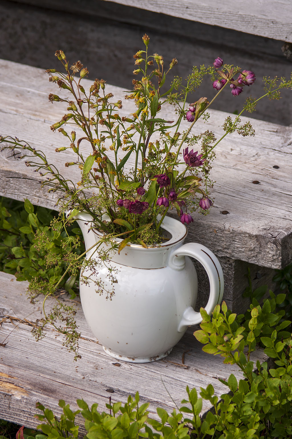Blommor
