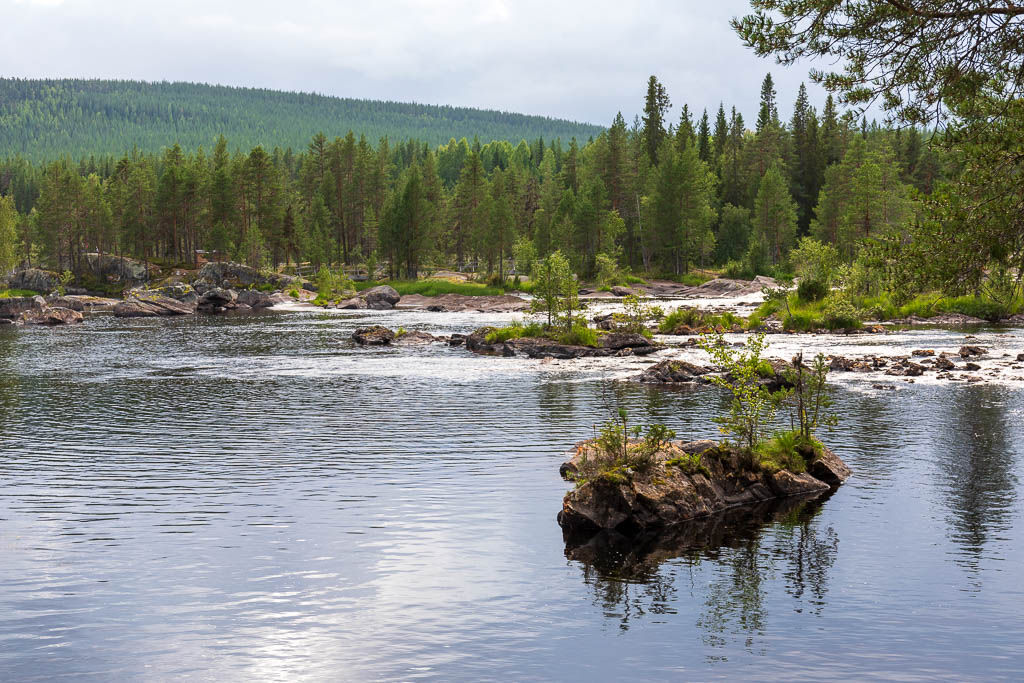 Mårdseleforsen