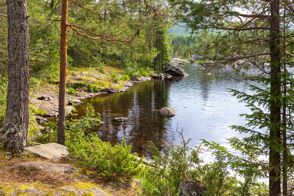 Mårdseleforsen