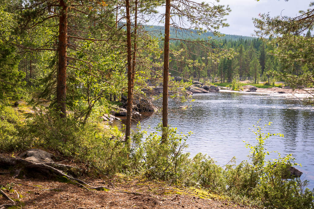 Mårdseleforsen