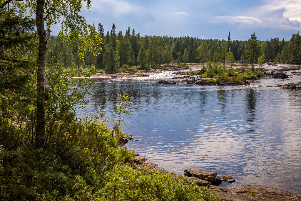 Mårdseleforsen