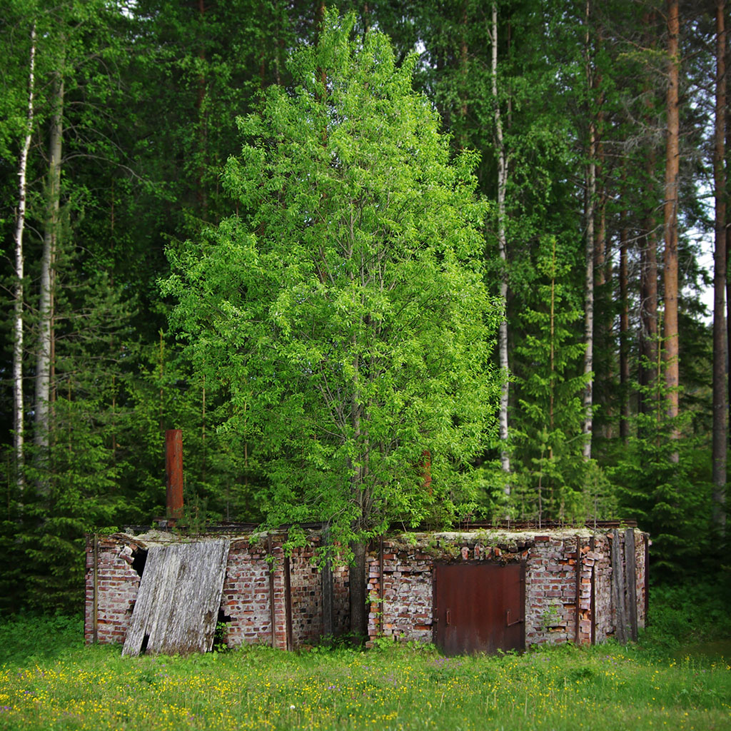 Ruin