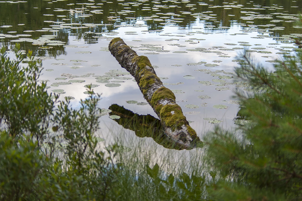 Helsjön