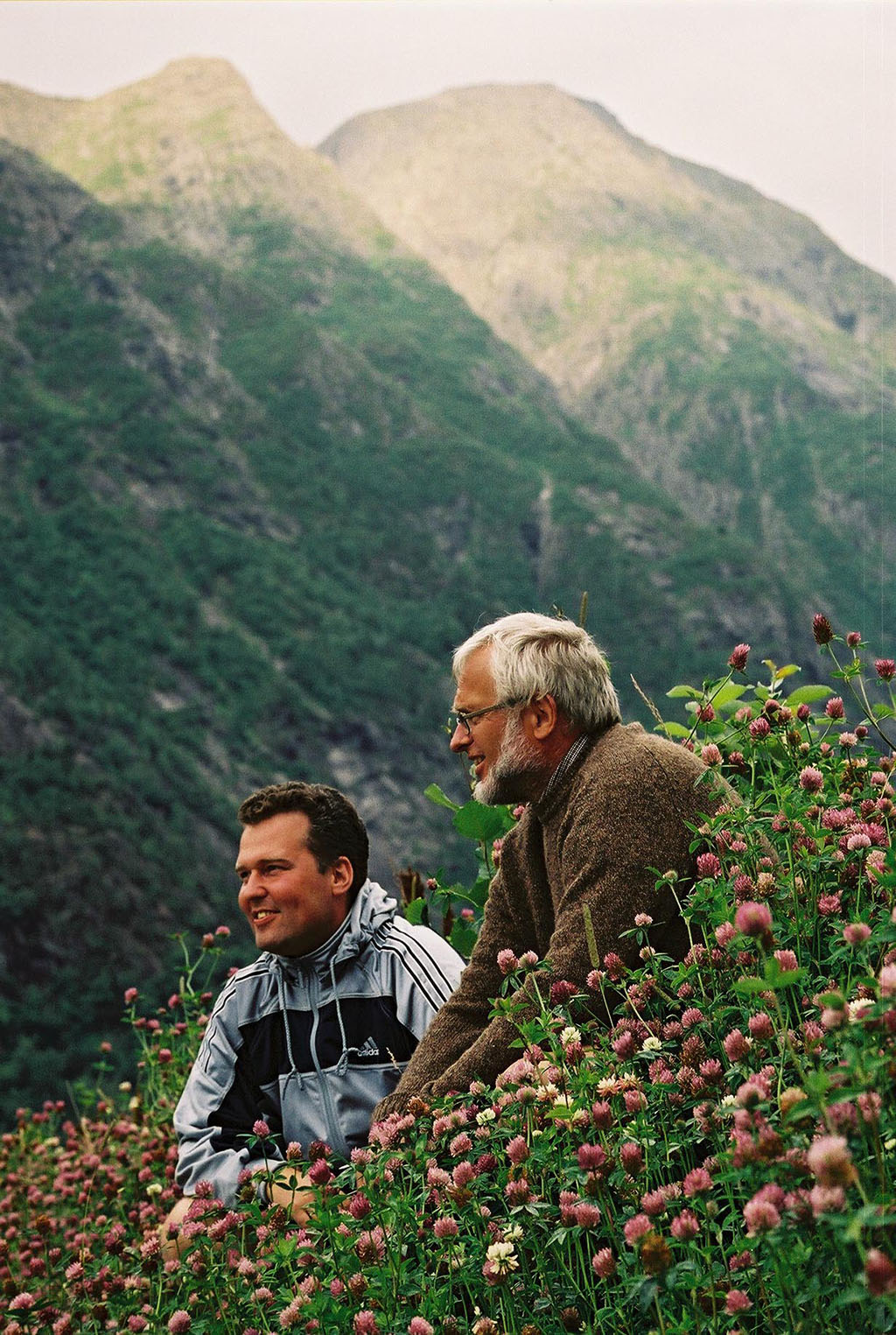 Två män med fjäll i bakgrunden och rödklöver i förgrunden