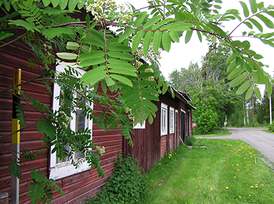 Bild med centralperspektiv