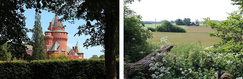 Bilder med inramning