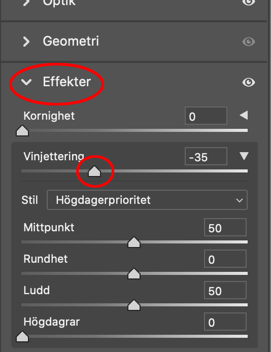 Beskrivning av hur man enkelt gör vinjetteringar i Camera Raw