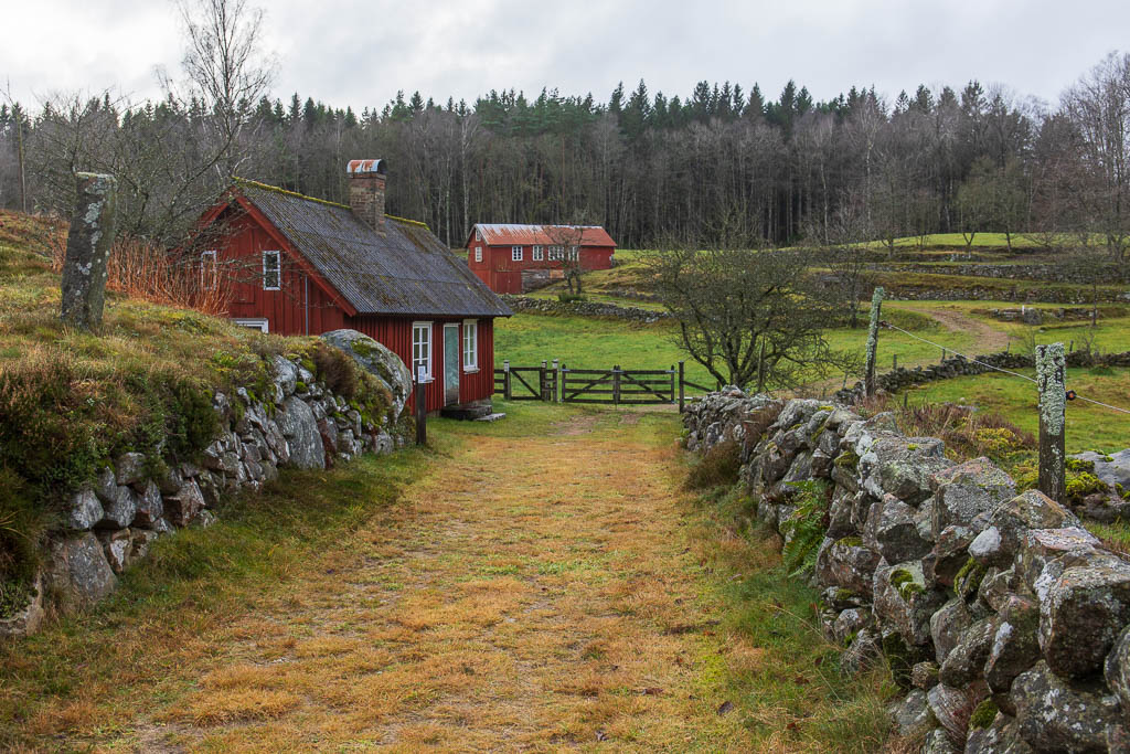 Björkekullen