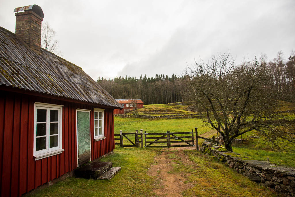 Björkekullen