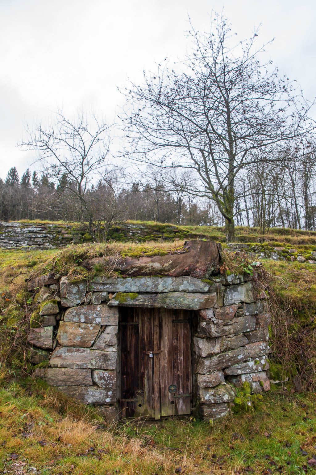 Björkekullen