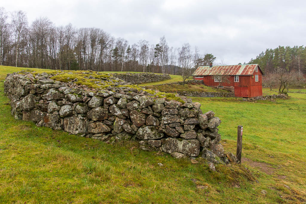 Björkekullen
