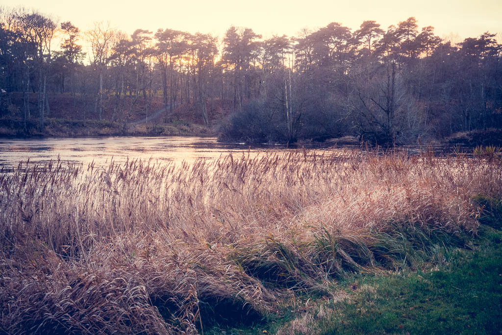 Ätran, Falkenberg