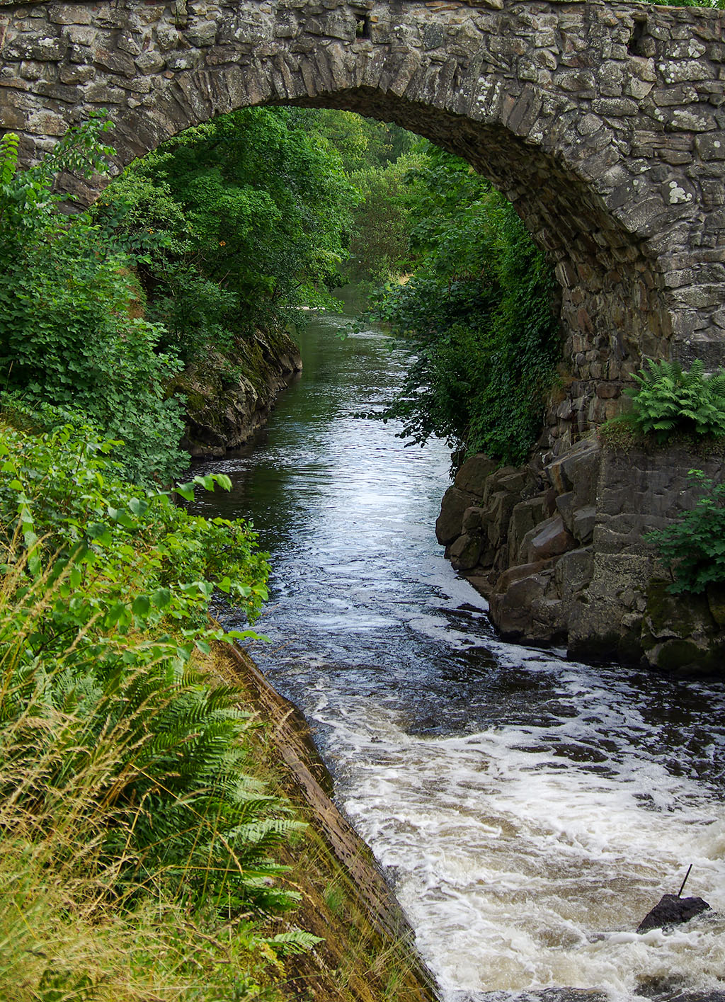 Boberg