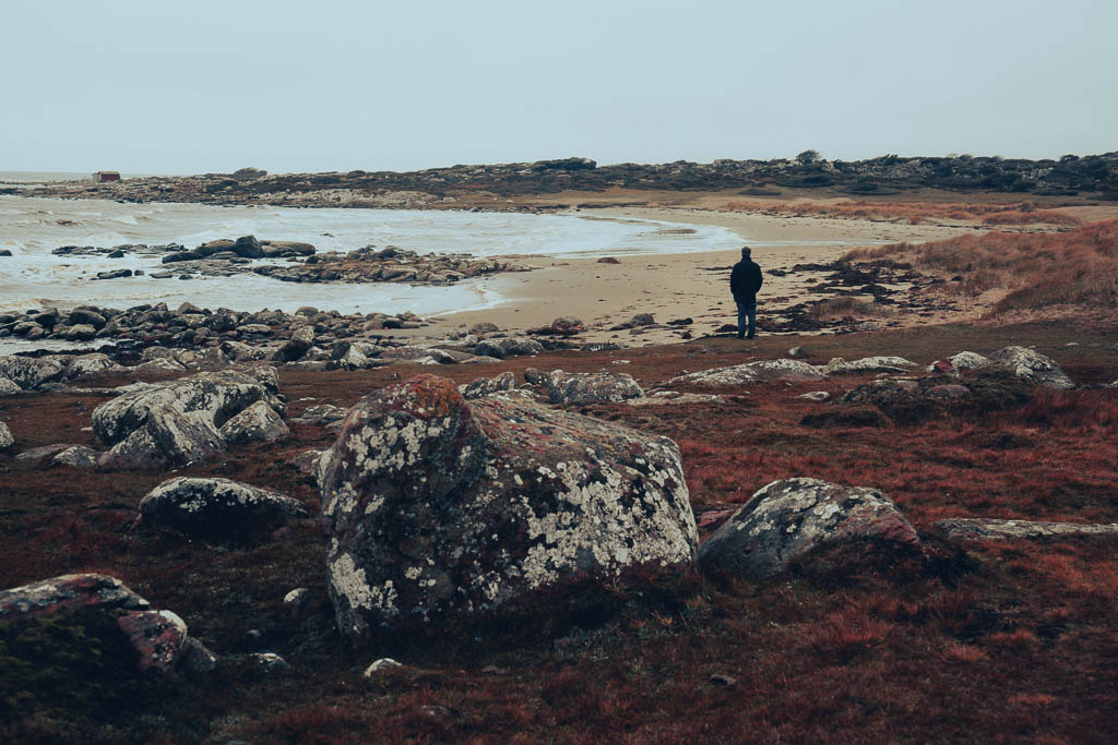 Grimsholmen