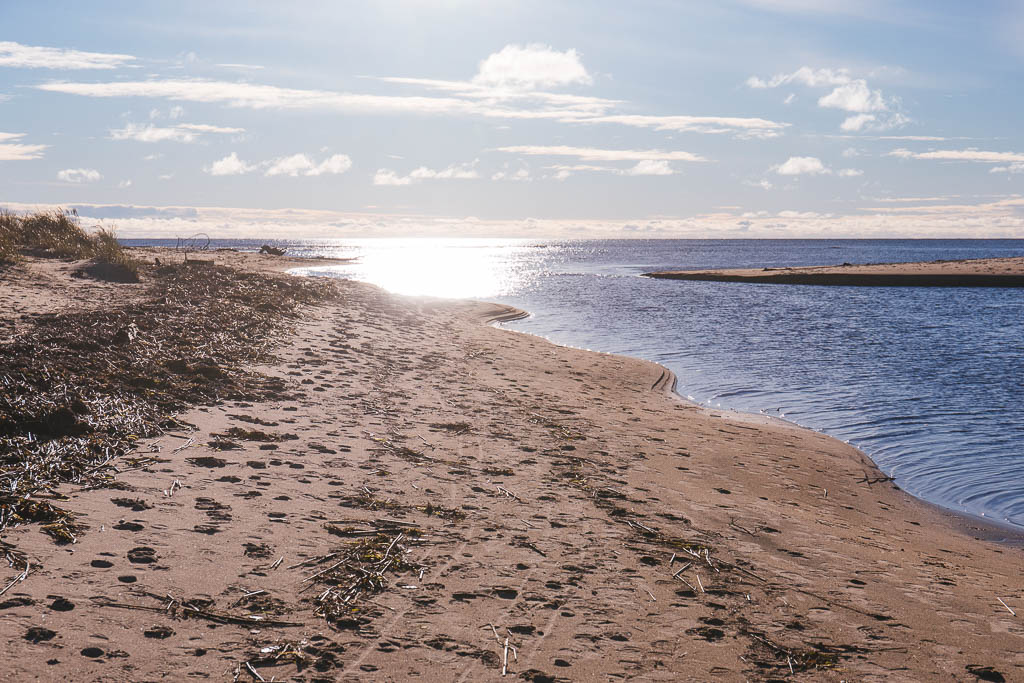 Suseåns mynning