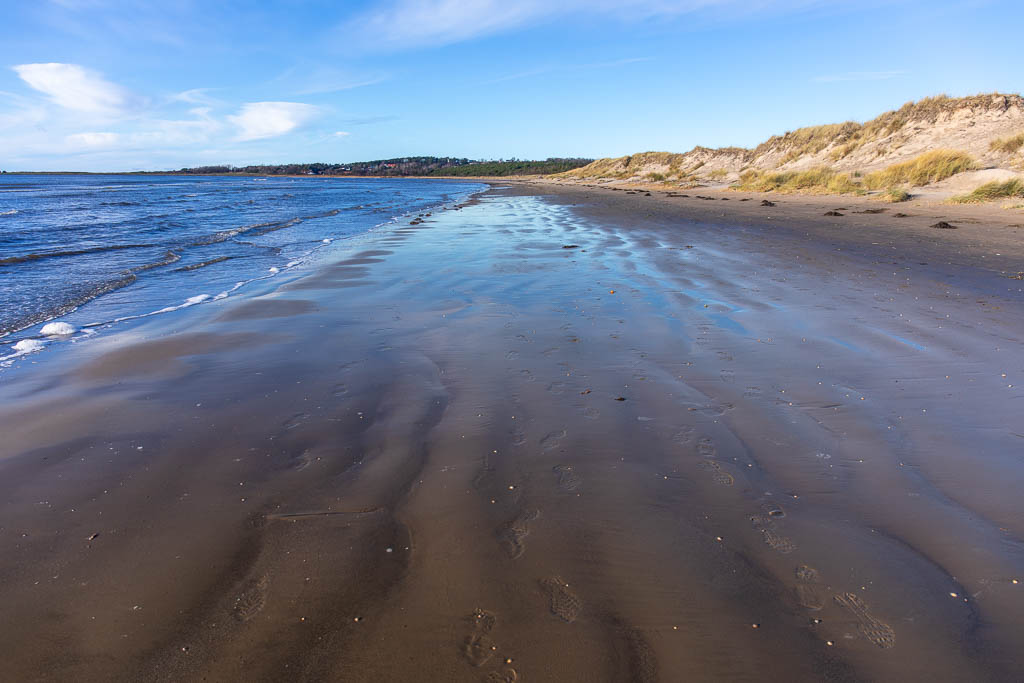 Suseåns mynning