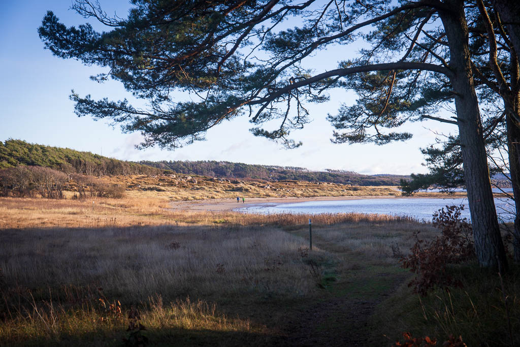 Suseåns mynning