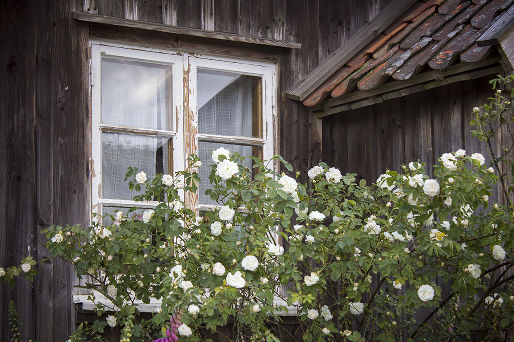 Äskhults by