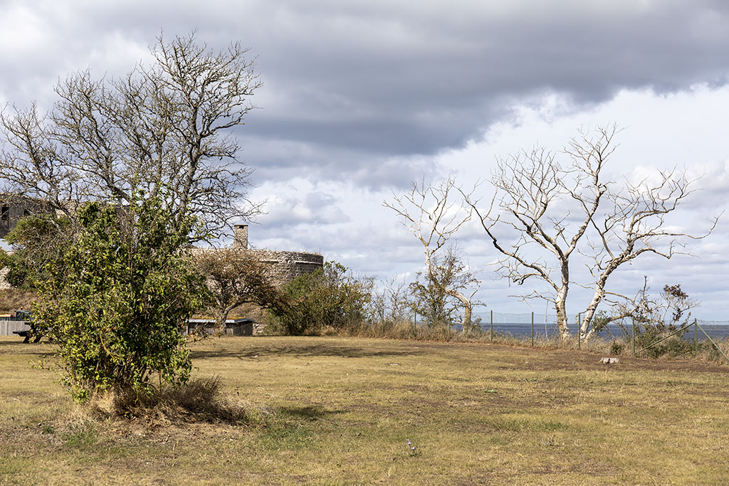 Borgholms slott