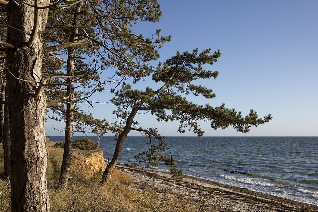 Glænø