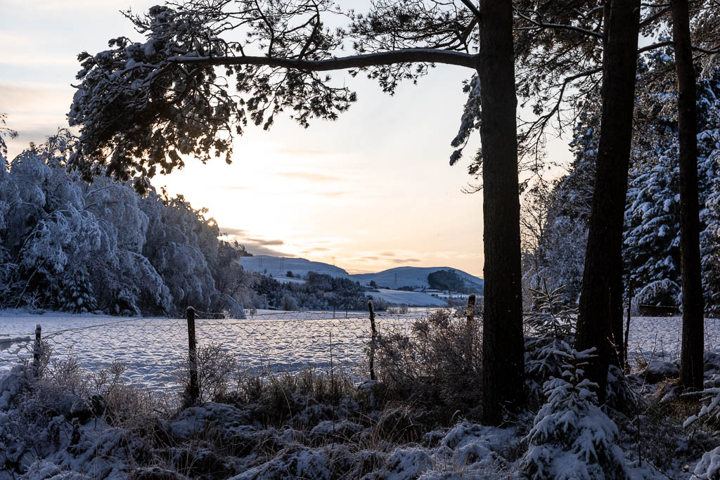 Rogaland Arboret